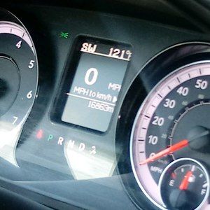 Meet your Posher, Brenda